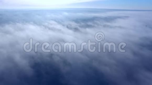早晨森林上空的雾鸟瞰视频的预览图