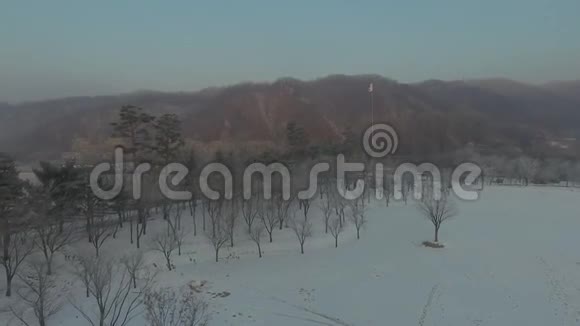 在公共公园的一片雪覆盖的田野上飞行的无人机视频的预览图