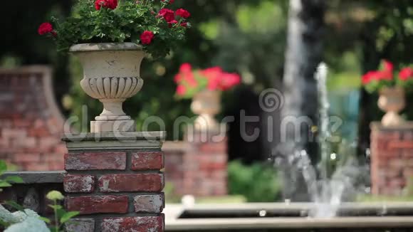 玫瑰花园的喷泉视频的预览图