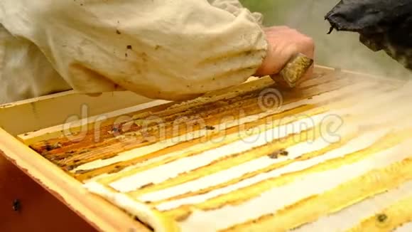 慢动作养蜂人收获蜂蜜养蜂人抱着一个装满蜜蜂的蜂窝防护工作服检查视频的预览图