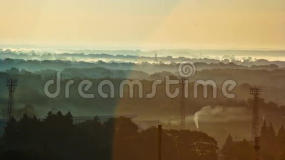 雾霭在森林中的移动镜头耀斑清晨黎明视频的预览图