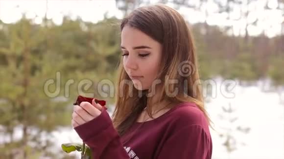 冬天树林里有一朵红玫瑰的女孩全高清视频视频的预览图