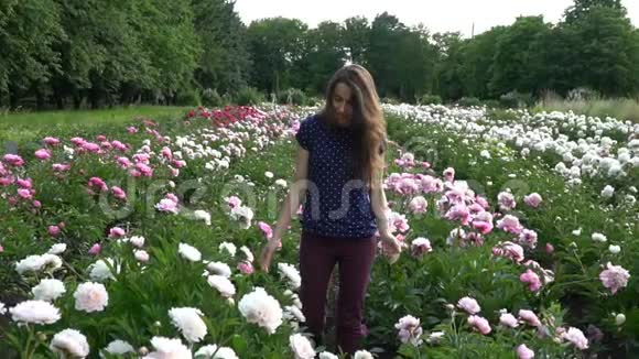 美丽的年轻女子走在牡丹花的夏天视频的预览图