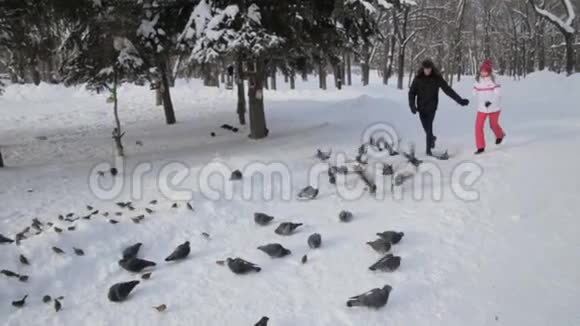 快乐的年轻夫妇在冬天的花园里奔跑害怕鸽子视频的预览图