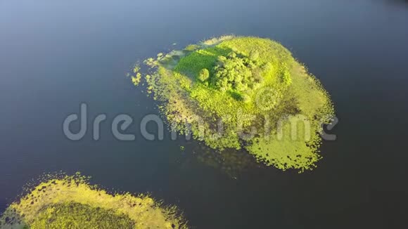 马里兰科德角淡水湖岛屿鸟瞰图视频的预览图