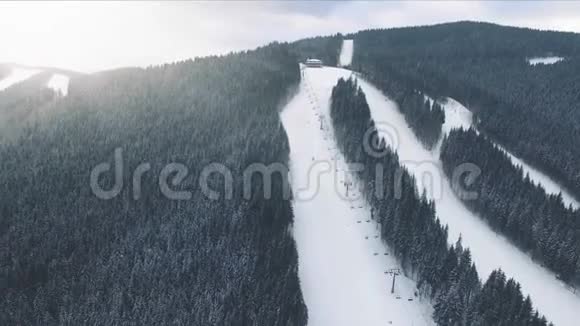 飞越冬山松林大雪视频的预览图
