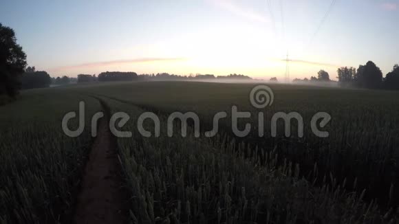 夏日的晨雾笼罩着田野和日出时间流逝视频的预览图