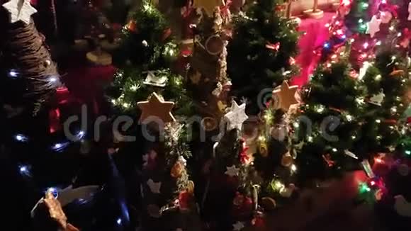 在集市上出售的圣诞树视频的预览图