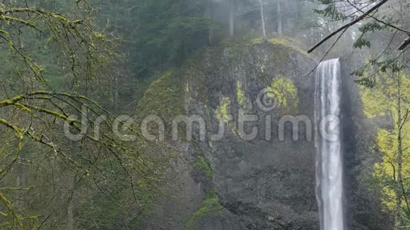 拉托雷尔瀑布周围是绿色植物视频的预览图