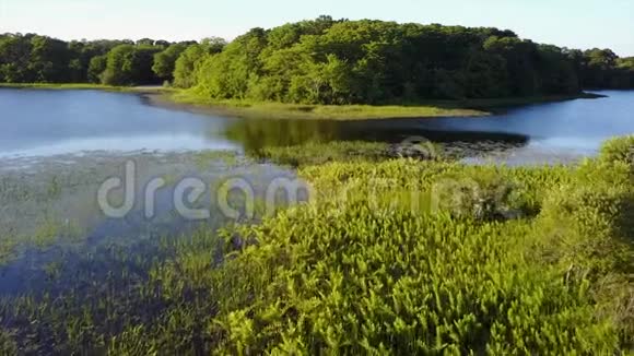 科德角美丽湖空中拍摄视频的预览图