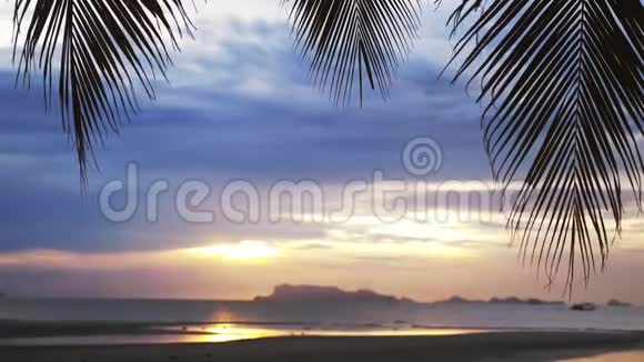 通过棕榈树的树枝在大海上美丽的景色在热带海滩上日落斯沃运动4k3840x2160视频的预览图