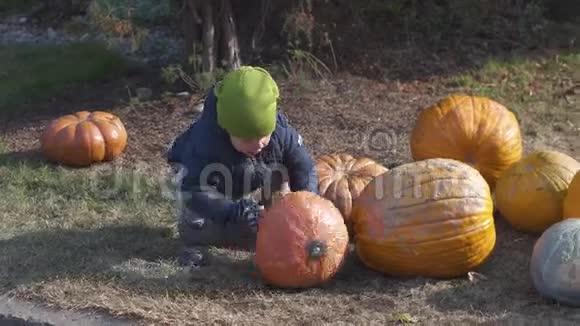 幼儿男孩滚动一个万圣节视频的预览图