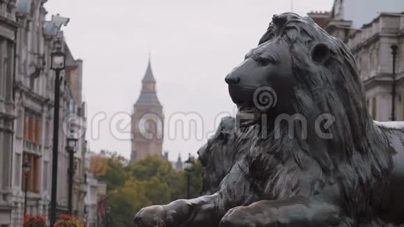 特拉法加广场狮子和伊丽莎白女王伦敦塔视频的预览图