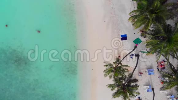 美丽的海滩有白色的沙滩棕榈树和清澈的蓝色海洋人们日光浴和游泳视频的预览图