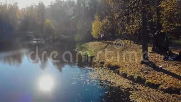 明亮的秋景一个风景如画的湖岸上的北部森林视频的预览图