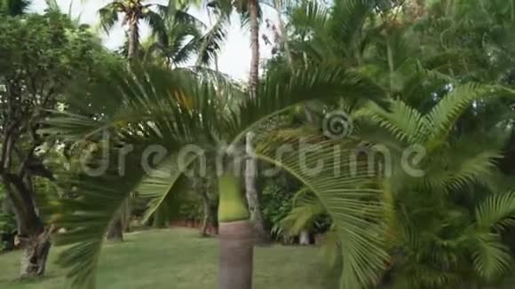 美丽的热带花园现场度假酒店时间三亚5个无焦点时间间隔股票录像视频的预览图