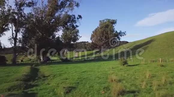 飞越新西兰农田4k视频的预览图