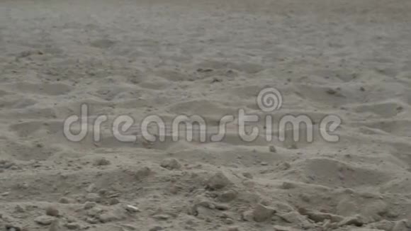 马蹄在沙滩上留下痕迹视频的预览图