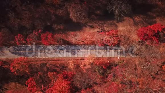 在秋天的森林里在乡间小路上开车韩国奈良山国家公园视频的预览图