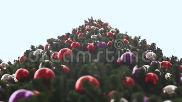 五颜六色的球中的一棵高圣诞树下雪了从下往上看圣诞树新年主题视频的预览图
