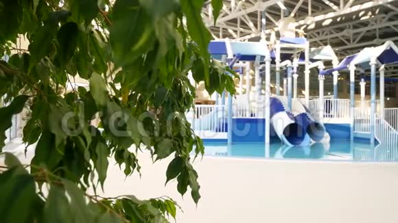 豪华度假游泳池有美丽干净的蓝色水4k度假池中的热带树木视频的预览图