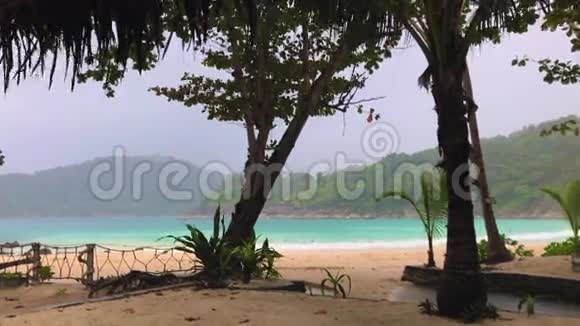 雨天棕榈树和海滩视频的预览图