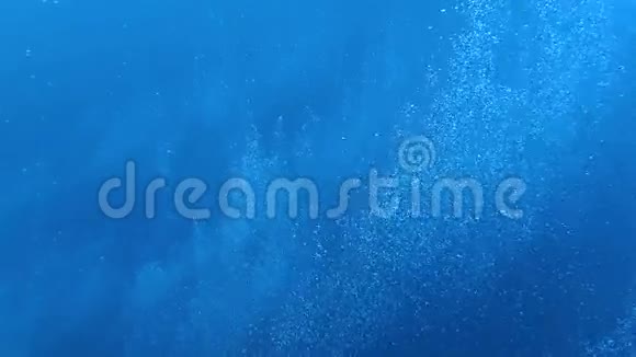气泡在水中漂浮起来视频的预览图