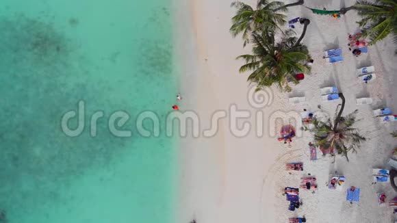 美丽的海滩有白色的沙滩棕榈树和清澈的蓝色海洋人们日光浴和游泳视频的预览图