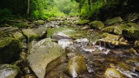 山河或溪流流经森林水在大石头上沸腾生态和清洁环境视频的预览图