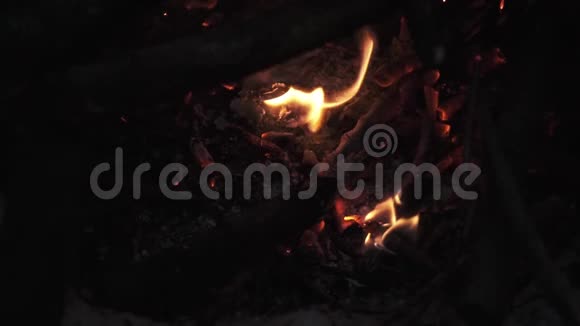 柴禾在篝火堆里劈啪作响熊熊燃烧的火焰视频的预览图