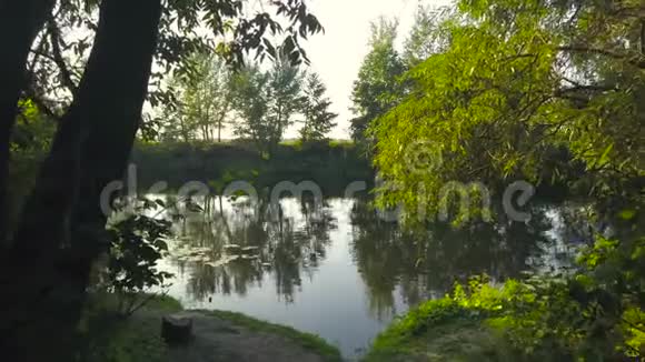 河流在晴朗的夏日和水中树木的倒影乌克兰视频的预览图