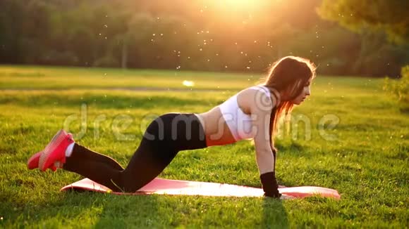 由年轻女性做俯卧撑或俯卧撑锻炼女孩在草地上锻炼在阳光下锻炼身体视频的预览图