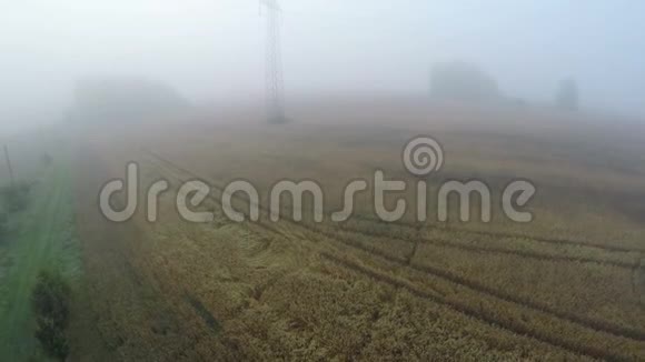 雾蒙蒙的夏日清晨在农田里的风景中蛙人高高飞起视频的预览图
