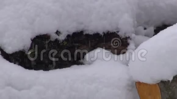 在森林附近的田野上雪落在新砍的柴堆上视频的预览图