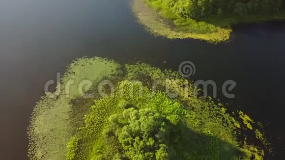 科德角美丽湖小岛空中拍摄视频的预览图