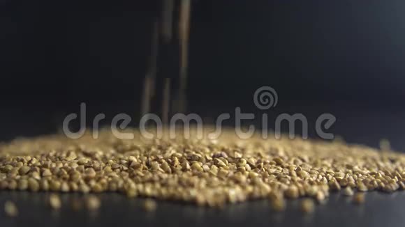 浇荞麦粒视频的预览图