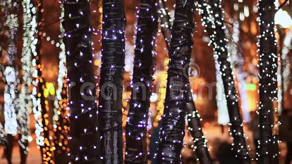 圣诞节在夜晚的城市街道上一丛丛丛的树木在节日的发光照明中行走的路人新年视频的预览图