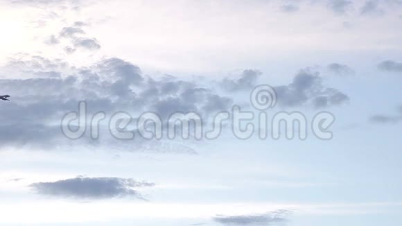 商务飞机在天空中飞云视频的预览图
