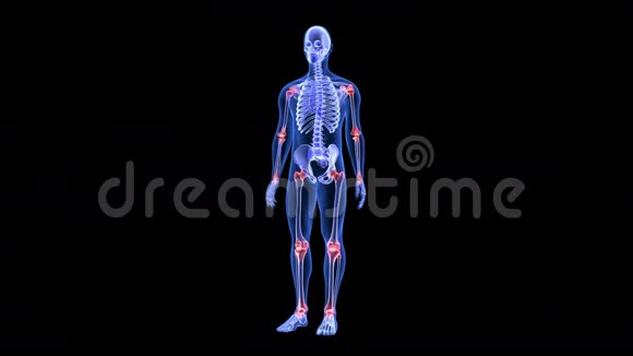 关节痛蓝色人体解剖体三维扫描渲染旋转无缝环视频的预览图