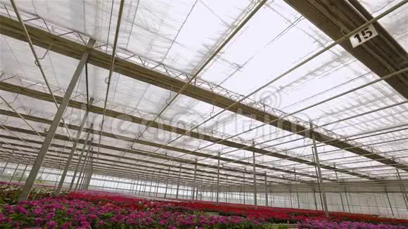 在大型现代化温室中打开屋顶的过程在现代化的大温室里打开屋顶视频的预览图