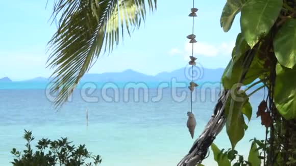 热带海景与壳牌加兰视频的预览图