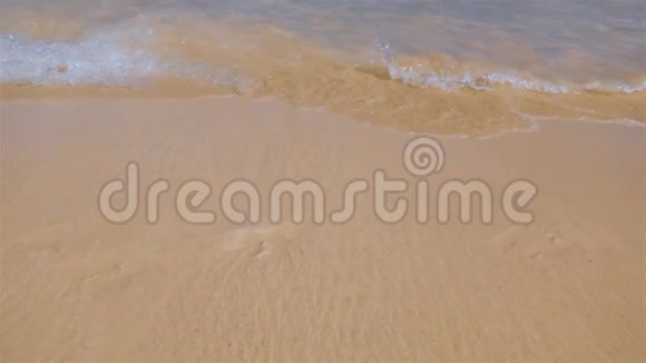 热带岛屿上的热带海滩视频的预览图