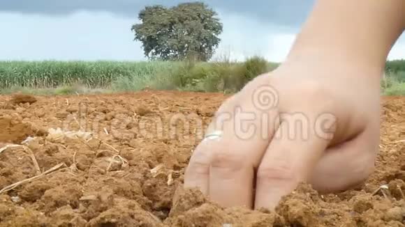 在干燥的乡间地面上近距离拍摄妇女种植和浇水的手视频的预览图