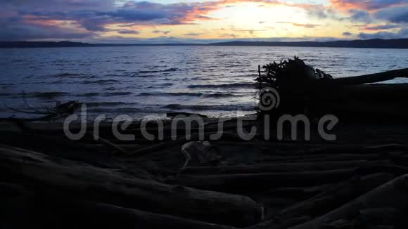 日落时的暗影飘木海岸线视频的预览图