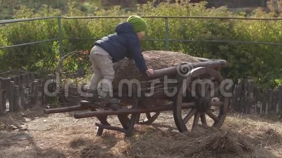 幼儿男孩用干草爬上手推车农场4k视频的预览图
