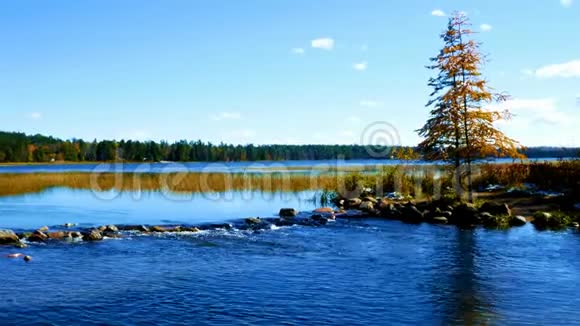 伊塔斯卡湖在明尼苏达州伊塔斯卡湖州立公园的密西西比河上游一名男子在后面筑坝视频的预览图