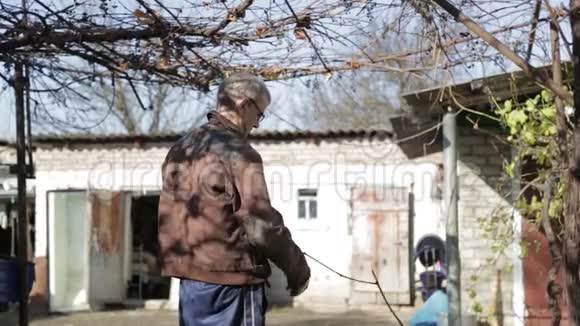 祖父关心葡萄园一位老人在村里的院子里工作视频的预览图