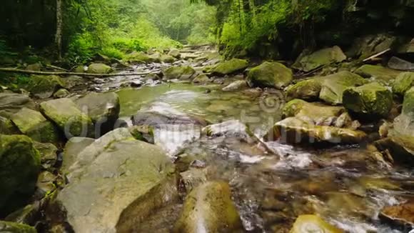 一条美丽的山河或小溪流过森林水在大石头上沸腾生态和清洁视频的预览图