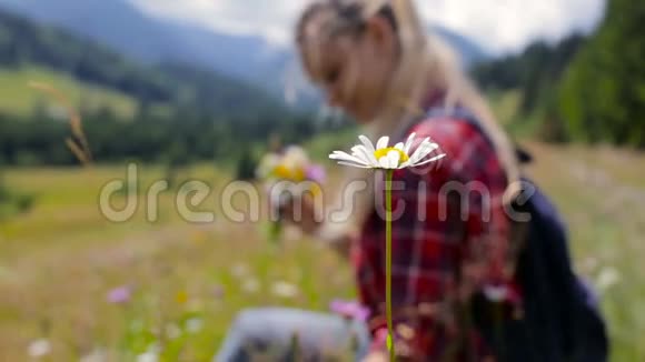 美丽的少女在山里采野花视频的预览图