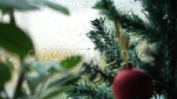 圣诞树窗外有一个红色的球和雨焦点从前景树叶转移到后面视频的预览图